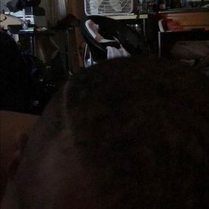 Meet your Posher, Carlos